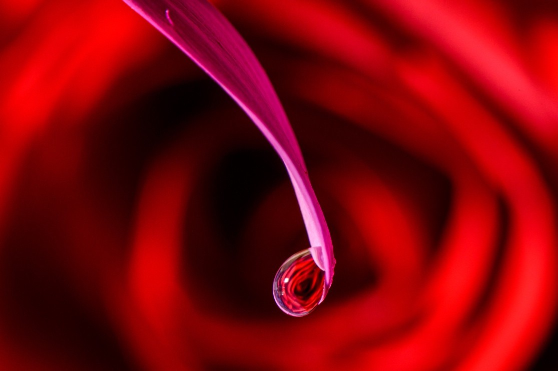 大崎オーバルコート歯科・矯正歯科室のスタッフ紹介