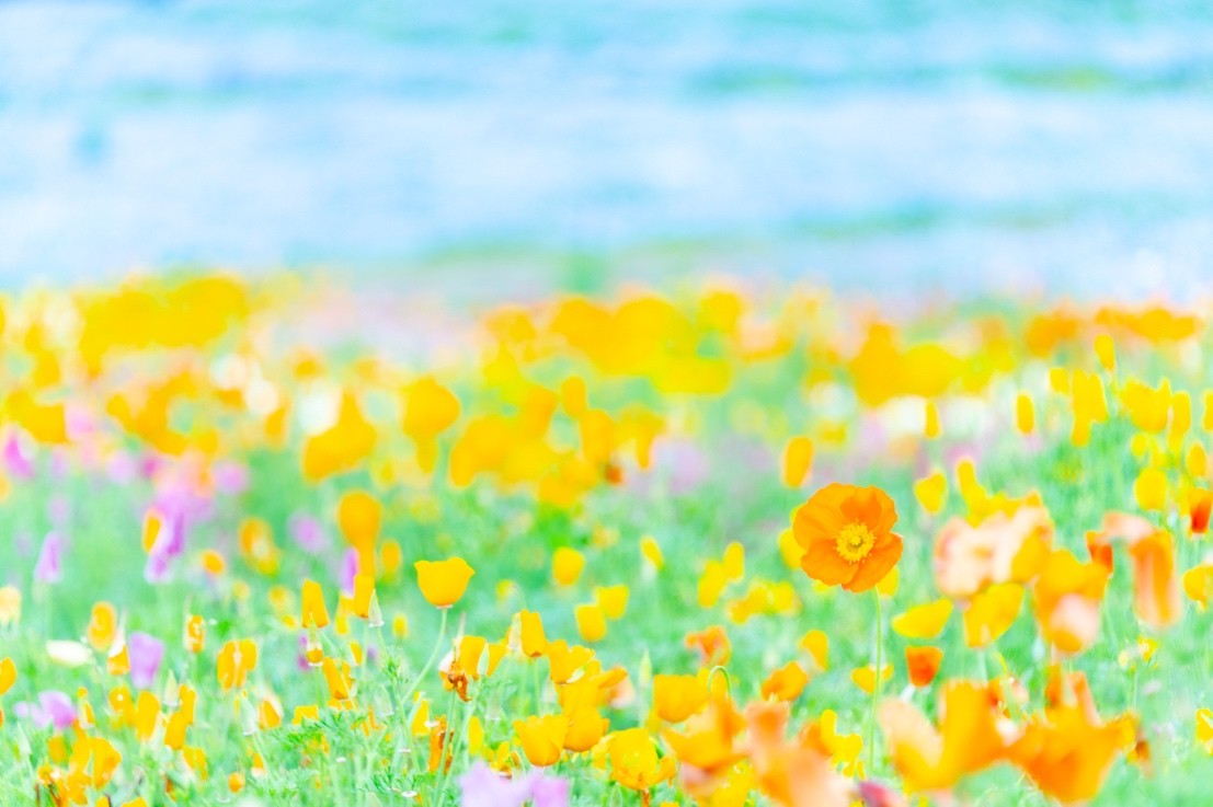 大崎オーバルコート歯科・矯正歯科室のスタッフ紹介