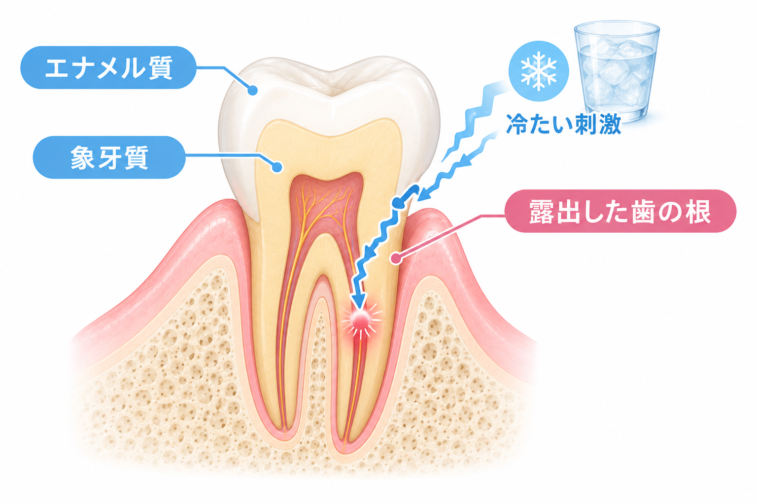 歯ぐきが下がると起きること