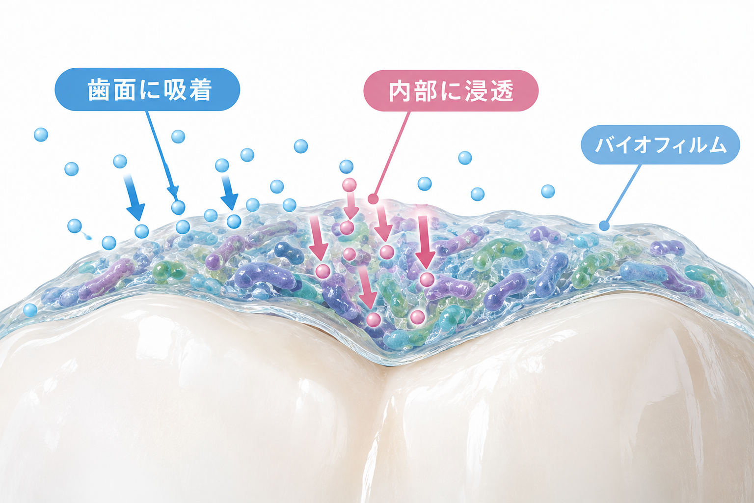 洗口液の使い方について